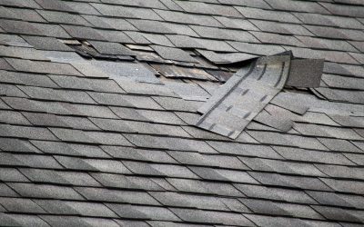 5 Warning Signs You May Need Roof Repairs